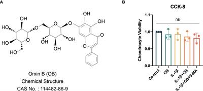 Oroxin B alleviates osteoarthritis through anti-inflammation and inhibition of PI3K/AKT/mTOR signaling pathway and enhancement of autophagy